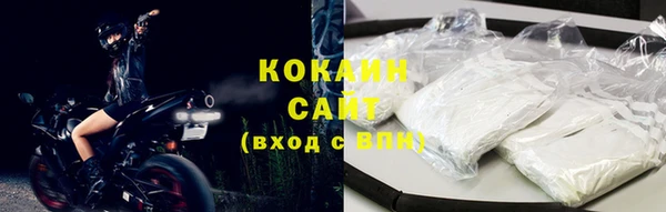 спайс Бородино