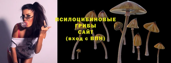дмт Бугульма