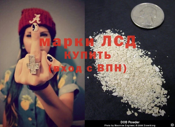 молекула духа Богородицк