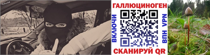 Галлюциногенные грибы мухоморы  сколько стоит  даркнет как зайти  Дубовка 