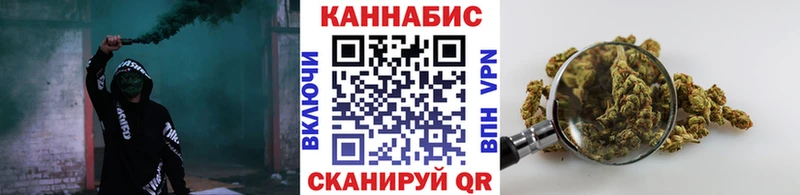 где купить наркоту  Дубовка  Бошки Шишки гибрид 